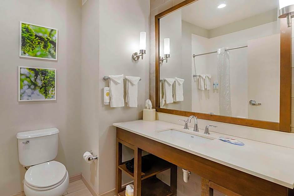 Comfort Inn & Suites Valdosta I-75