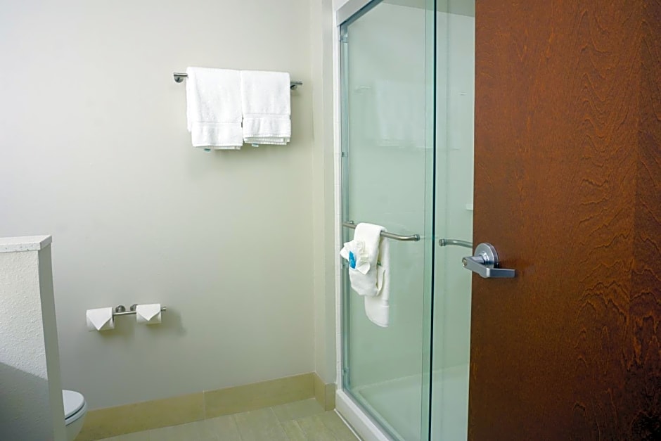 Holiday Inn Express & Suites Omaha - Millard Area, an IHG Hotel