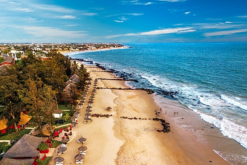 Royal Horizons Baobab