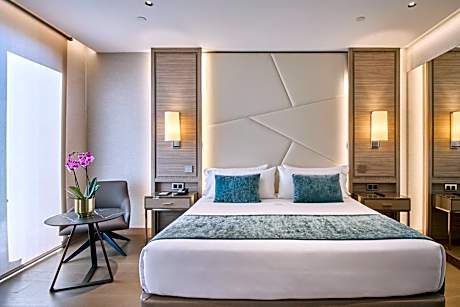 Junior Suite with Terrace