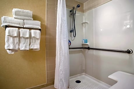 1 King 1 Bedroom Brunswick Suite