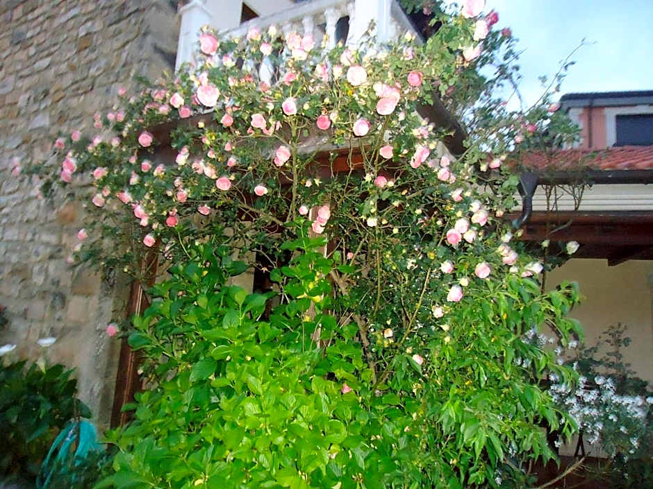 Hotel Arenas de Cabrales- apartamentos