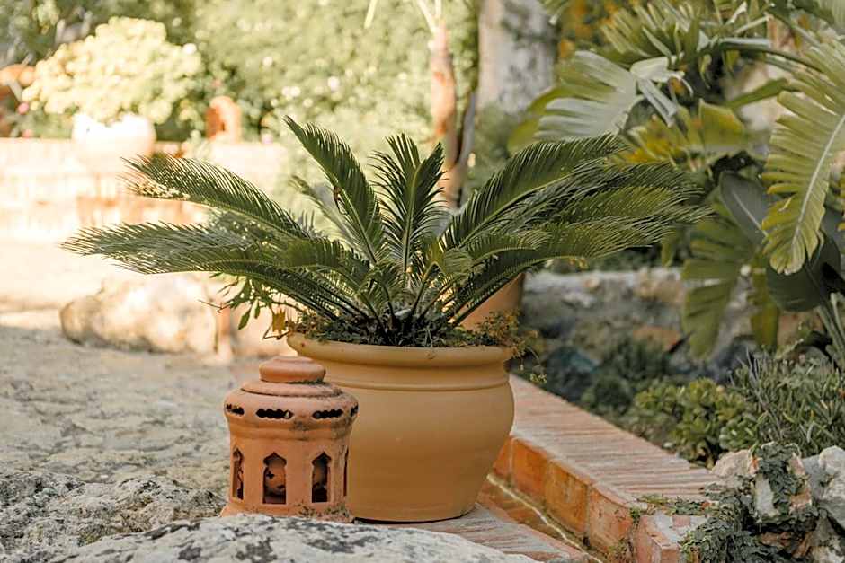 Hotel Castillo de Monda