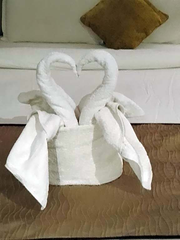 Hotel 5 Flowers Ananta Elite, Kota
