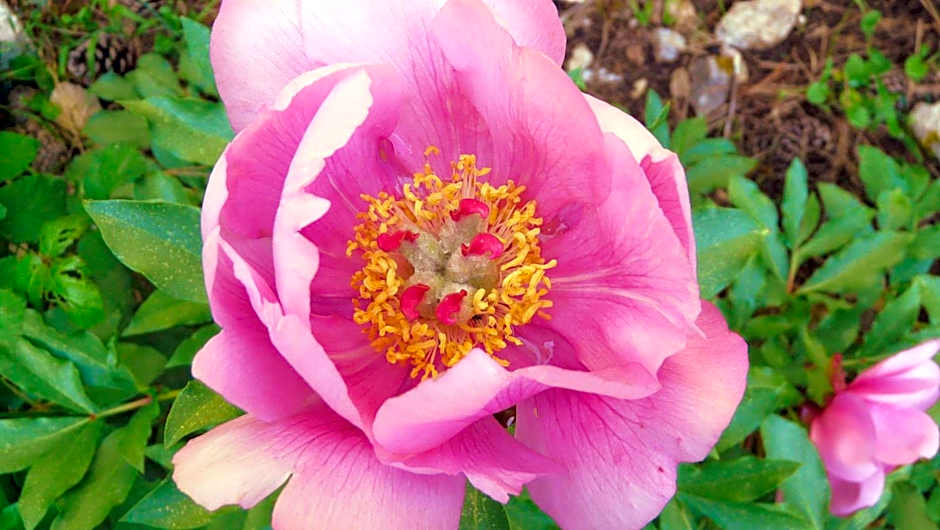 Hotel Rural Montaña de Cazorla