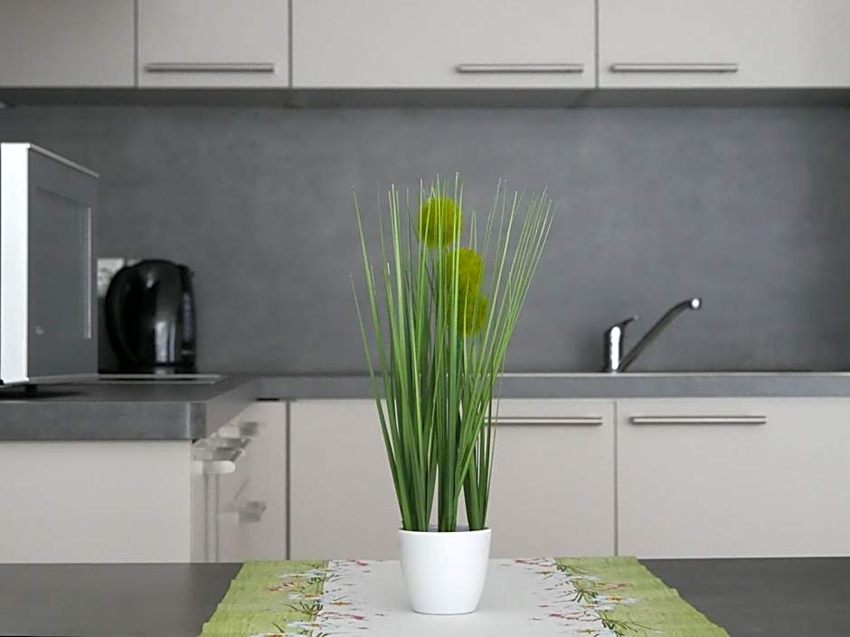 Hotel & Mühlenapartments by AVERA Gernsbach GmbH