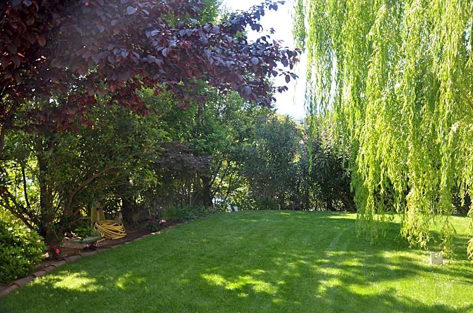 Asso Bed & Breakfast