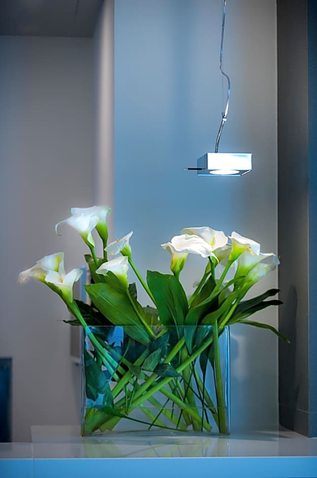 Executive Inn Boutique Hotel