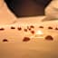 Mercure Hotel Riesa Dresden Elbland