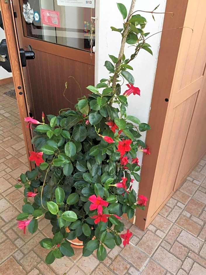 U’ Fore B&B Relax garden