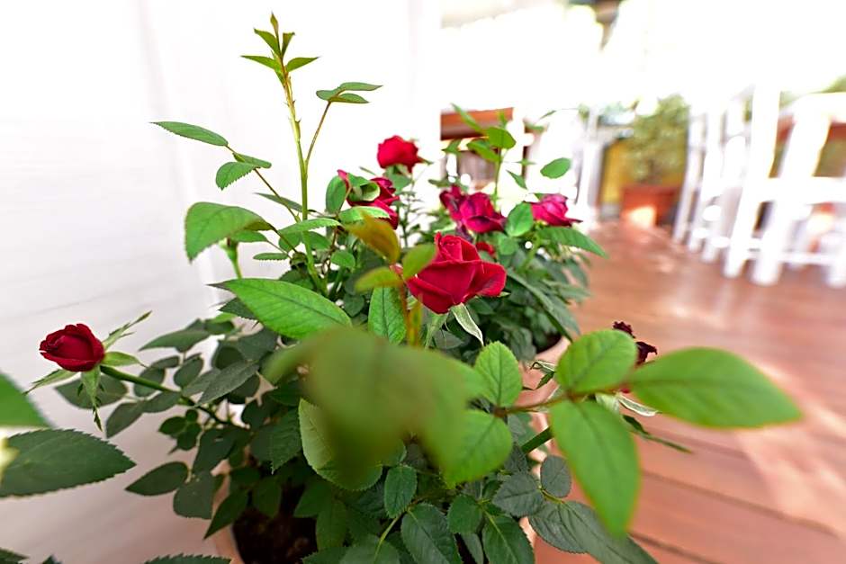 Quodlibet Guesthouse