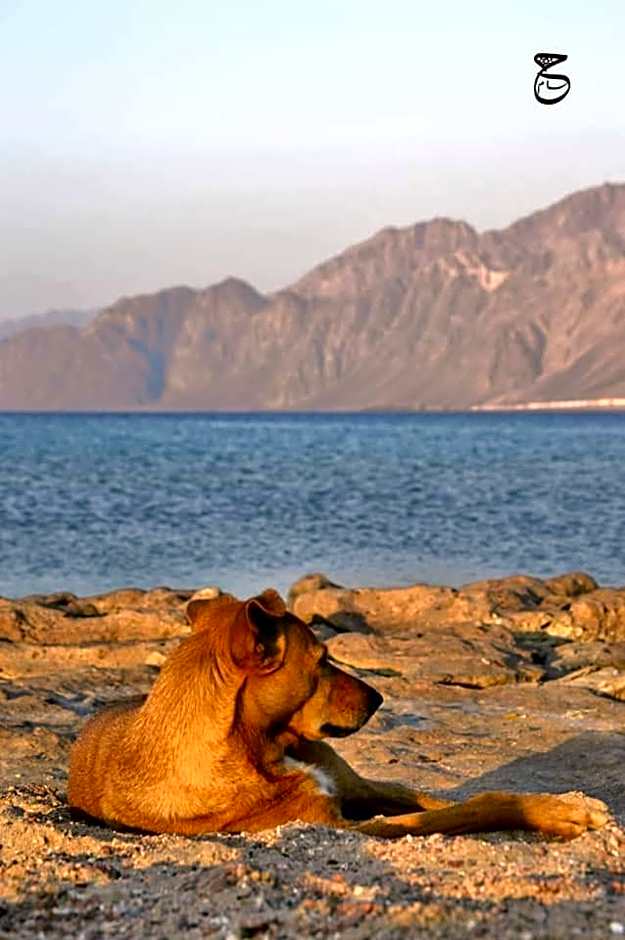 Lagona Dahab Hotel