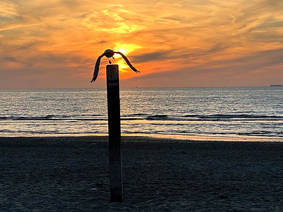 Hotel Kogerstaete Texel