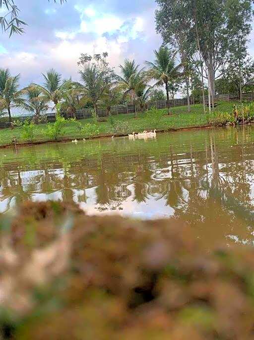 Casa de Campo Tamanduá - Conexão com a Natureza!