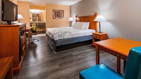 King Room - Pet Friendly/Smoking