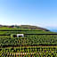 Tenuta di Castellaro Winery & Resort