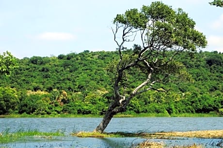 Two-Bedroom Premium Apartment with Balcony