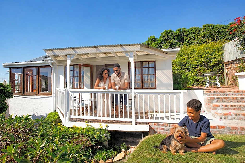 Bosky Dell on Boulders Beach