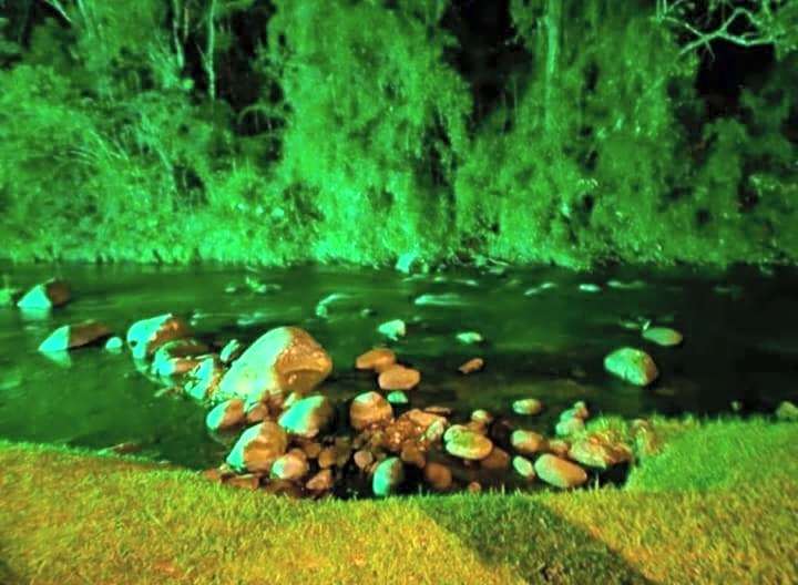 Pousada Bosque do Visconde