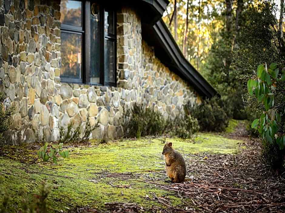 Discovery Parks - Cradle Mountain