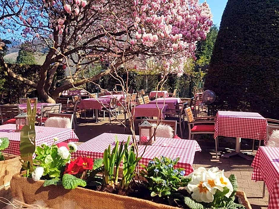 Hotel Restaurant Aux Sapins