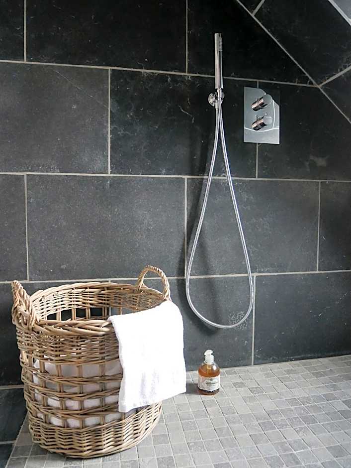 Hôtel-Spa Domaine de Diane