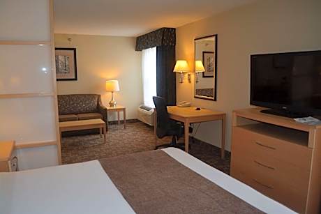 Suite-1 King Bed, Nonsmoking, Sofabed, Whirlpool