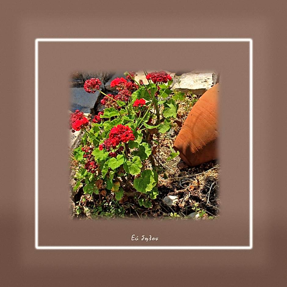 Ikaria Utopia - Cusco Studios