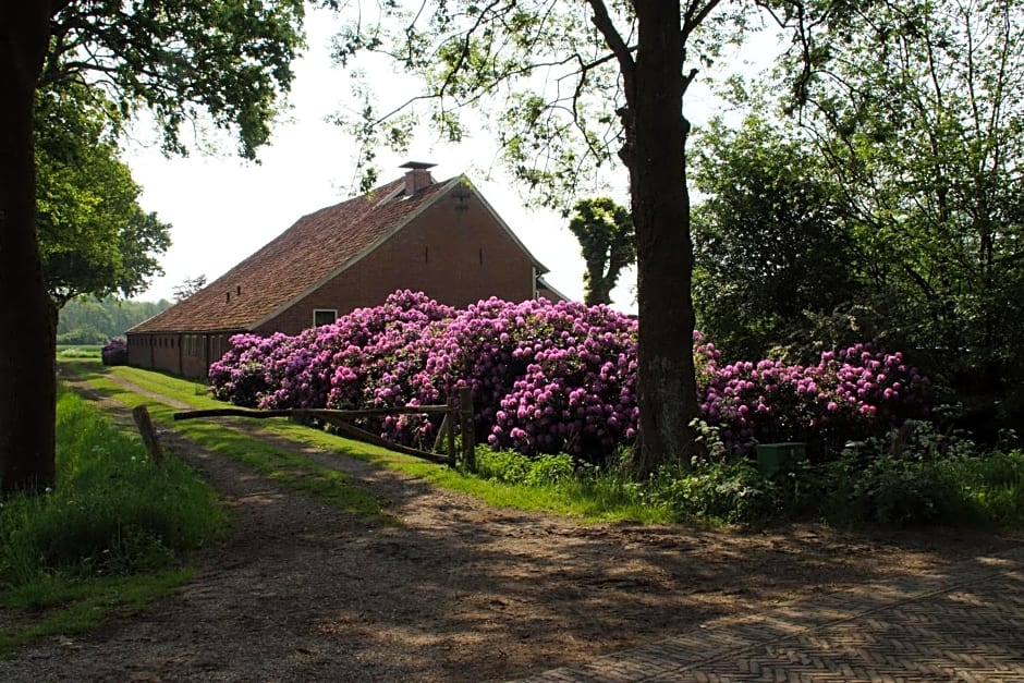 Huis Eedingh