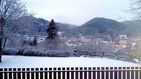Double Room with Mountain View