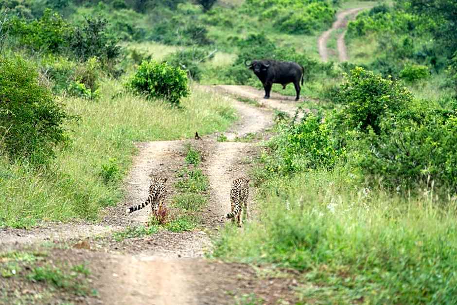 Sungulwane Private Game Lodge