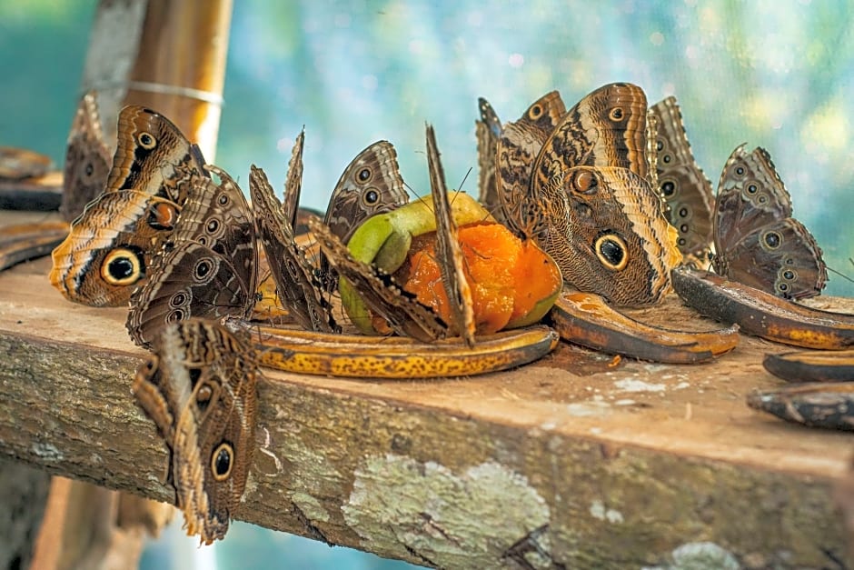 Paraiso Volcano Lodge