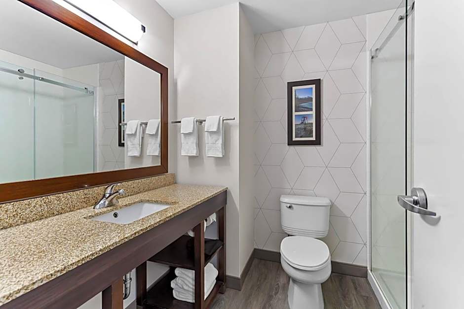 Comfort Inn & Suites Red Deer - Highway 11