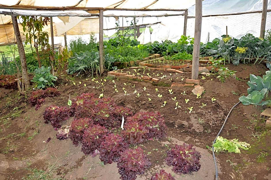 Pousada Ilhas Do Sol