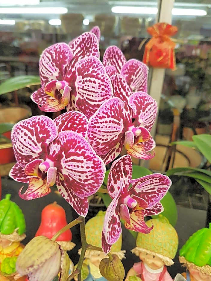 Casa Hotel near KLIA 1