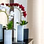 LOUIS V HOTEL LEBANON
