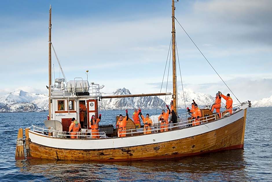 Astra Whale - Waterfront Boutique Hostel in Lofoten