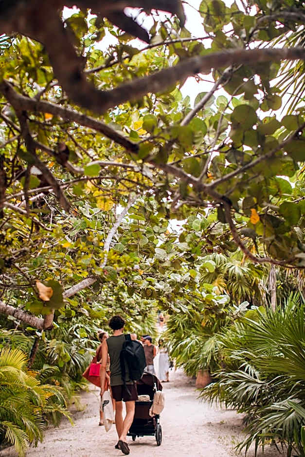 Ikal Tulum Hotel photo 43