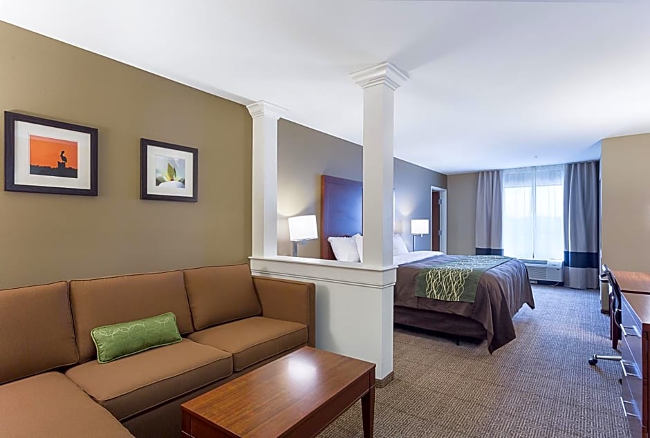 Comfort Inn & Suites Zachary