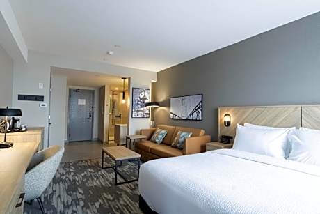 Standard Room, 1 King Bed, Sofa Bed, Euro Bathroom