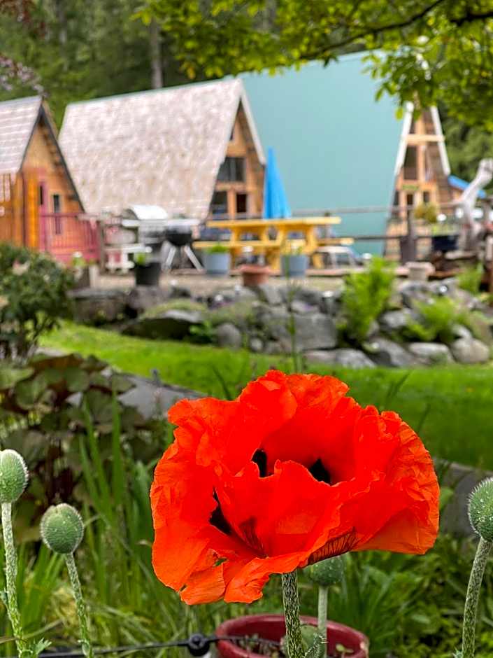 Gracies Grotto Cabin