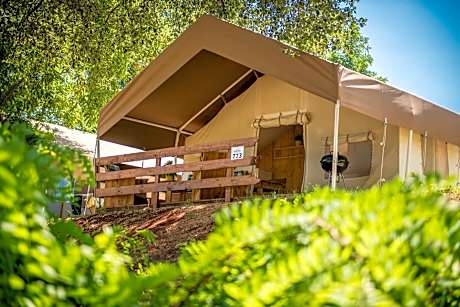 Sunflower Camping