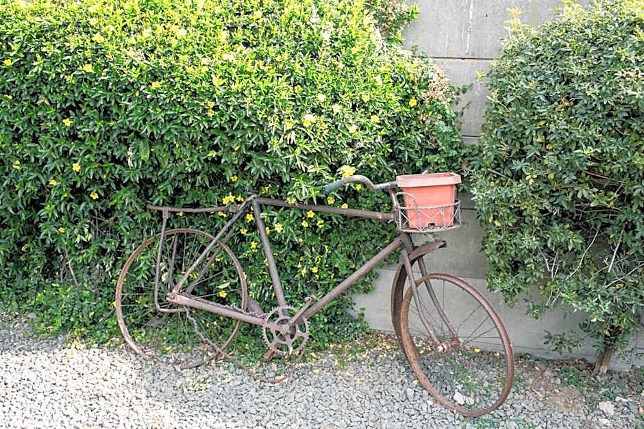 Pennylane Guest House