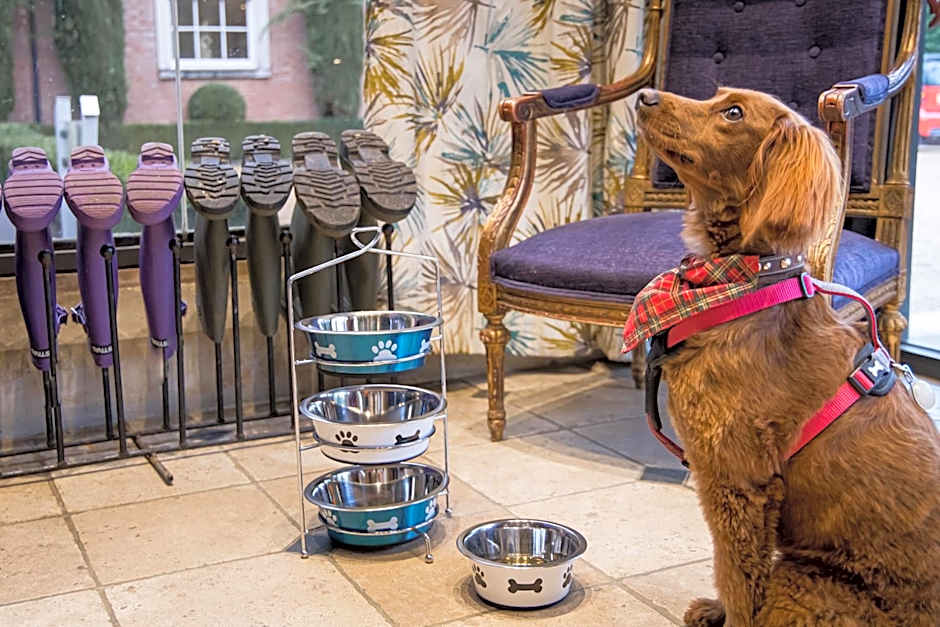 Alexander House Hotel & Utopia Spa