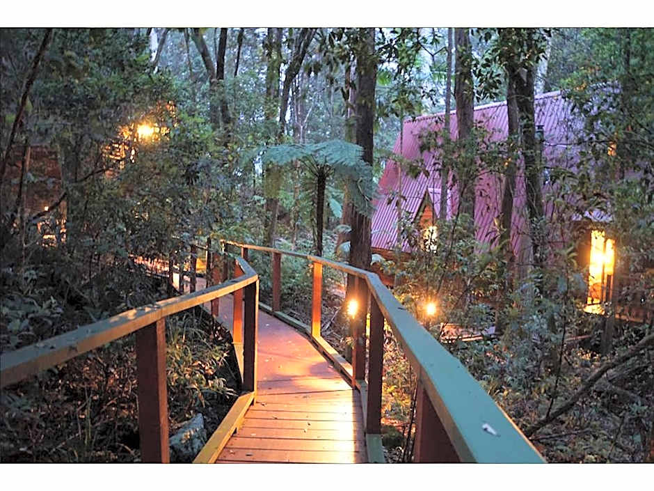 The Mouses House Rainforest Retreat