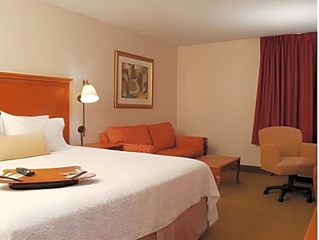 King Studio with Sofa Bed