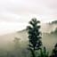 Akha Hill House Hotel