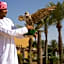 Aldhafra Desert Resort, Vignette Collection by IHG