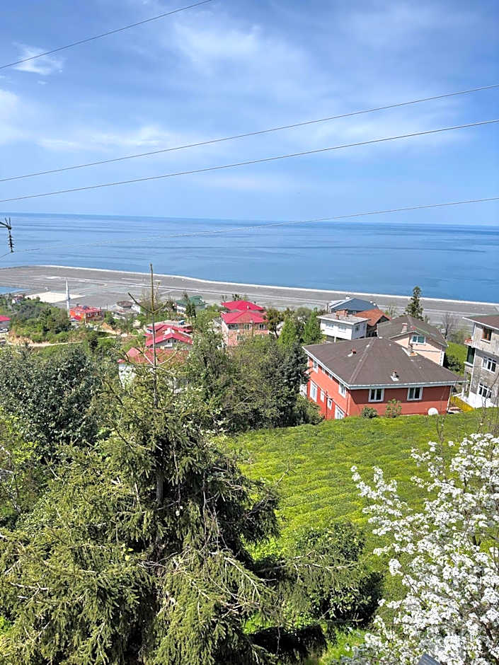 Bungaport Luxury Bungalows&Suits