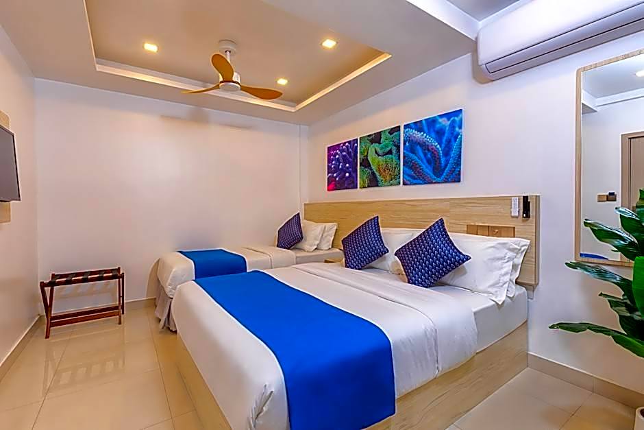 The White Harp Beach Hotel